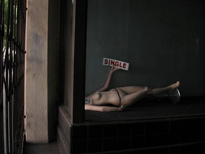 Read more about the article Solitary Model